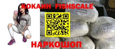 spice Дубна