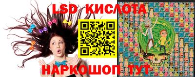 spice Дубна