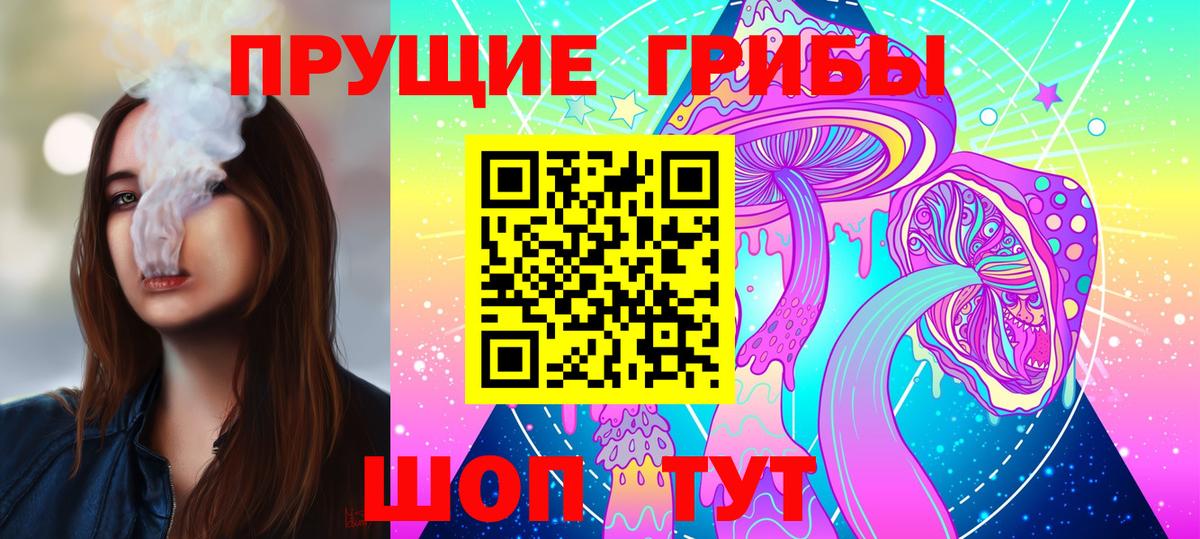 Медногорск  купить наркотик  Вход с VPN  Галлюциногенные грибы Cubensis  Псилоцибиновые грибы Magic Shrooms 