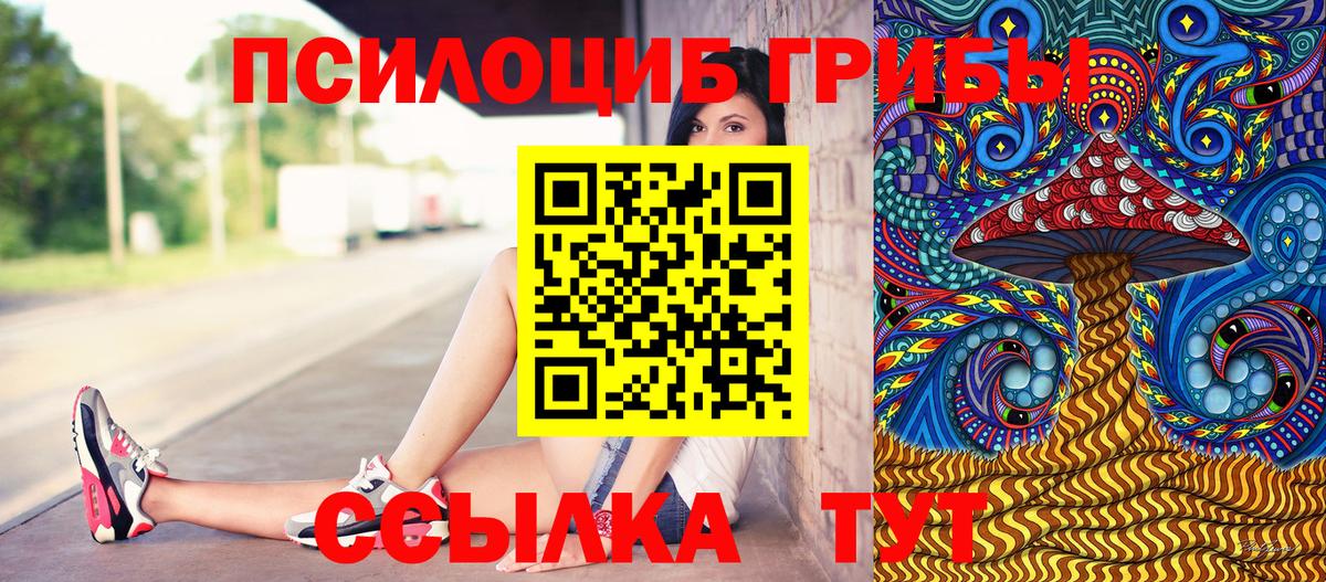 Псилоцибиновые грибы Cubensis Медногорск